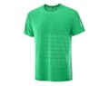 tee-t-shirt-camisola-camiseta-corrida-montanha-trail-running-salomon-sense-aero-tee-gfx-parakeet-1