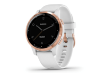 GARMIN VÍVOACTIVE 4S BRANCO-ROSA DOURADO