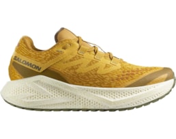 Salomon AERO GLIDE 3 GRVL SPICYM/VANILA