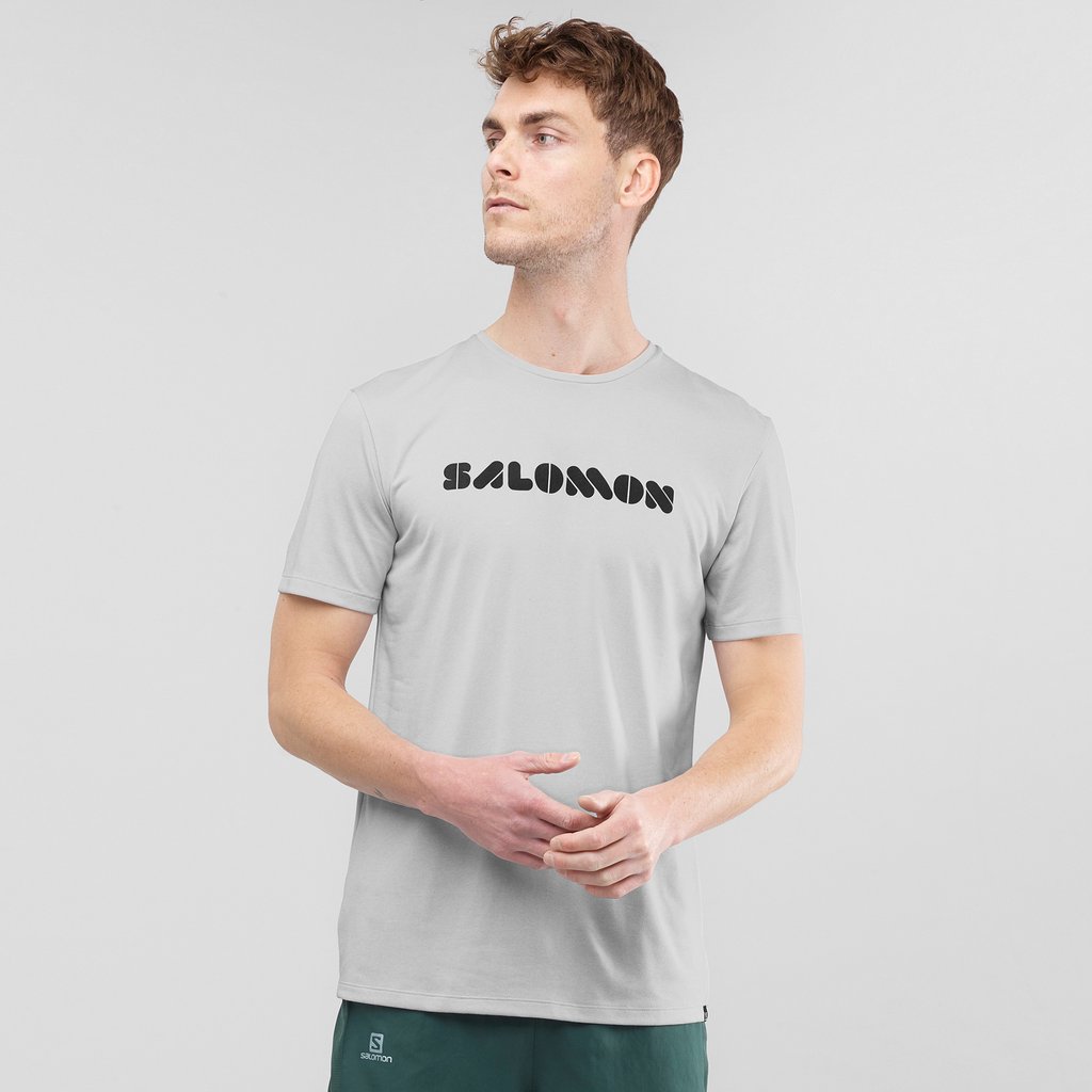 salomon agile graphic