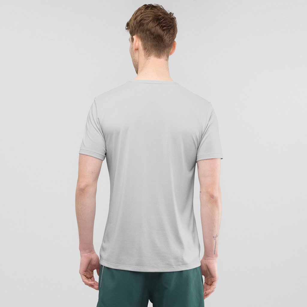 salomon agile graphic