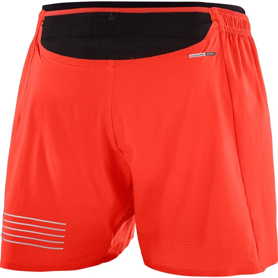Salomon sense pro short m 2025